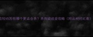 边牧VS苏牧哪个更适合养养狗避坑全攻略附品种对比表