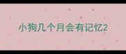 小狗几个月会有记忆