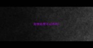 宠物狐狸可以养吗