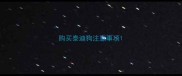 购买泰迪狗注意事项