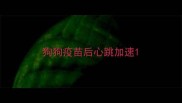 狗狗疫苗后心跳加速