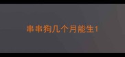 串串狗几个月能生