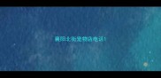 襄阳北街宠物店电话