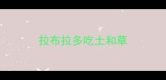拉布拉多吃土和草