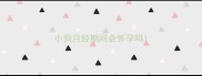 小狗月经期间会怀孕吗
