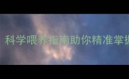 猫咪食量失控科学喂养指南助你精准掌握猫咪每日食量