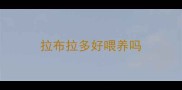 拉布拉多好喂养吗