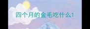 四个月的金毛吃什么