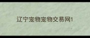 辽宁宠物宠物交易网