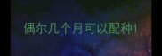 偶尔几个月可以配种