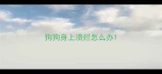狗狗身上溃烂怎么办