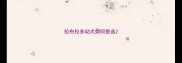 拉布拉多幼犬如何挑选