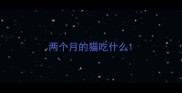 两个月的猫吃什么