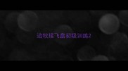边牧接飞盘初级训练