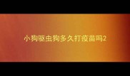小狗驱虫狗多久打疫苗吗