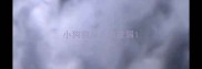 小狗狗身上有皮屑