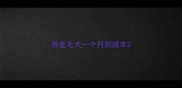 养金毛犬一个月的成本