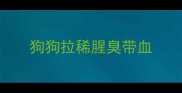 狗狗拉稀腥臭带血