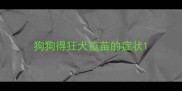 狗狗得狂犬疫苗的症状
