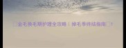 金毛换毛期护理全攻略掉毛季终结指南