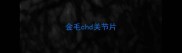 金毛chd关节片