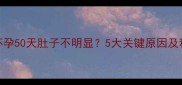 边境牧羊犬怀孕50天肚子不明显5大关键原因及科学应对指南