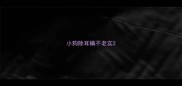 小狗除耳螨不老实