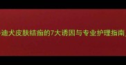 泰迪犬皮肤结痂的7大诱因与专业护理指南1
