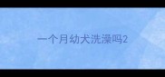 一个月幼犬洗澡吗