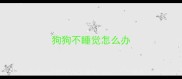 狗狗不睡觉怎么办