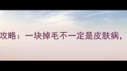 金毛皮肤护理全攻略一块掉毛不一定是皮肤病这些方法能救急