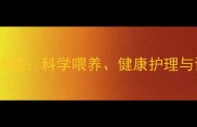 拉布拉多饲养全攻略科学喂养健康护理与训练技巧大公开