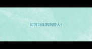 如何训练狗狗咬人
