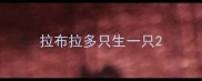 拉布拉多只生一只