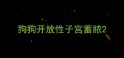 狗狗开放性子宫蓄脓