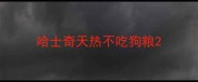 哈士奇天热不吃狗粮