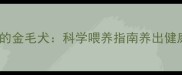 吃米饭长大的金毛犬科学喂养指南养出健康聪明好宠
