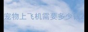 宠物上飞机需要多少钱