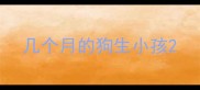 几个月的狗生小孩