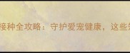 幼猫必看疫苗接种全攻略守护爱宠健康这些知识你不可不知