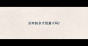 拉布拉多犬饭量大吗