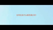 拉布拉多什么颜色最正宗