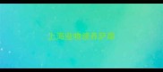 上海宠物领养萨摩