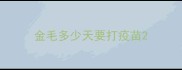 金毛多少天要打疫苗