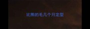 比熊的毛几个月定型