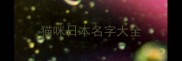 猫咪日本名字大全