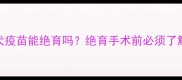 狗狗未接种狂犬疫苗能绝育吗绝育手术前必须了解的五大关键点