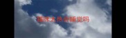 猫咪太热会睡觉吗