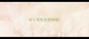 哈士奇阵发性抽搐