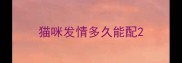 猫咪发情多久能配